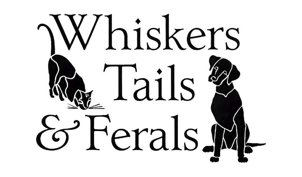 Whiskers Tails and Ferals